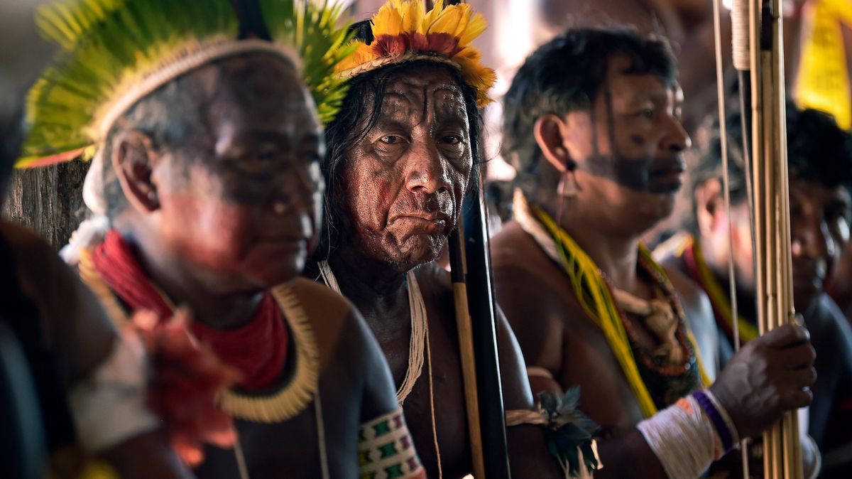 Umírají plíce světa: Kmeny se sjednotily proti vypalování pralesů
